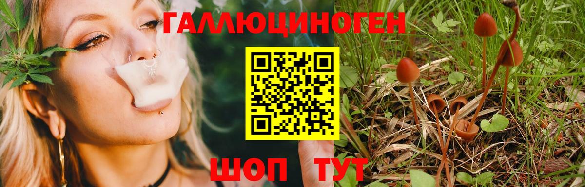 купить  цена  Галлюциногенные грибы ЛСД  Вход с VPN  Томск 