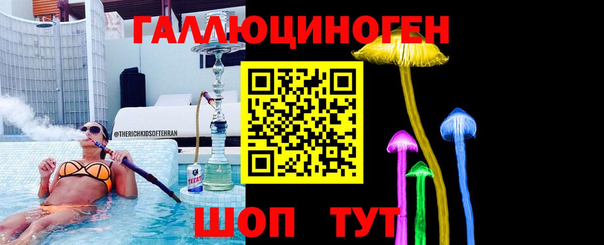 Псилоцибиновые грибы Cubensis Томск